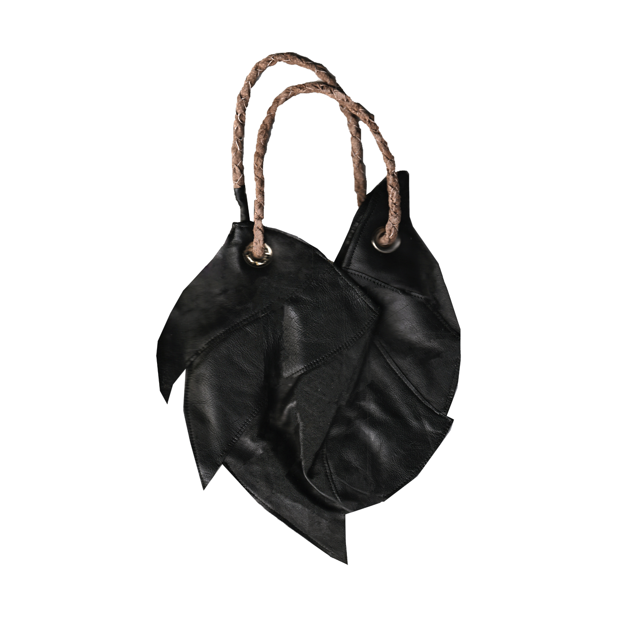 ammonite bag