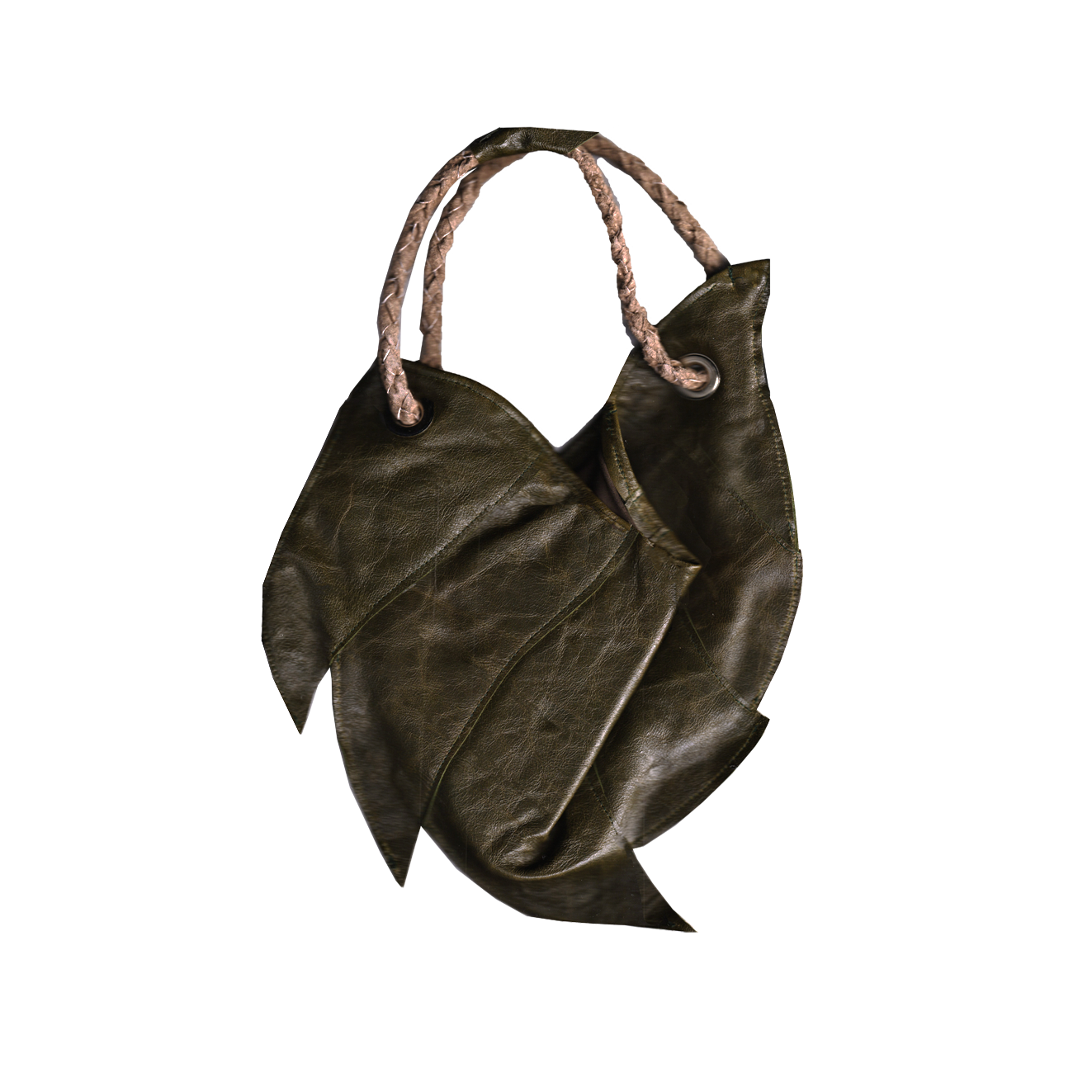 ammonite bag